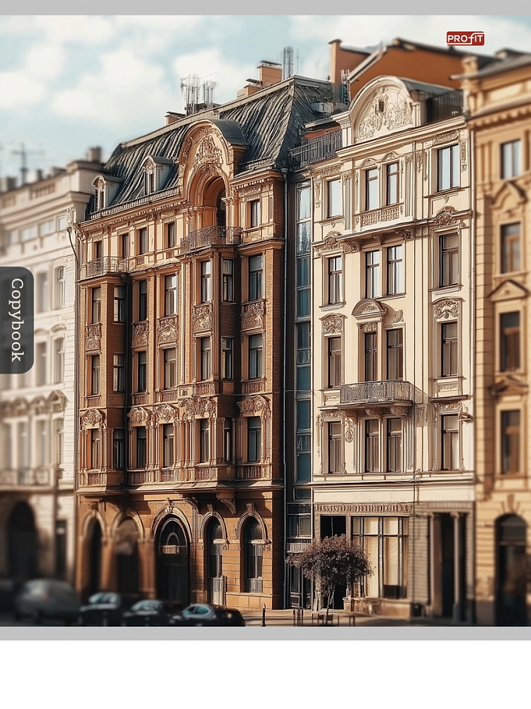 Тетрадь 96л. кл. "городская архитектура-2" (проф-пресс) б/б,асс-т