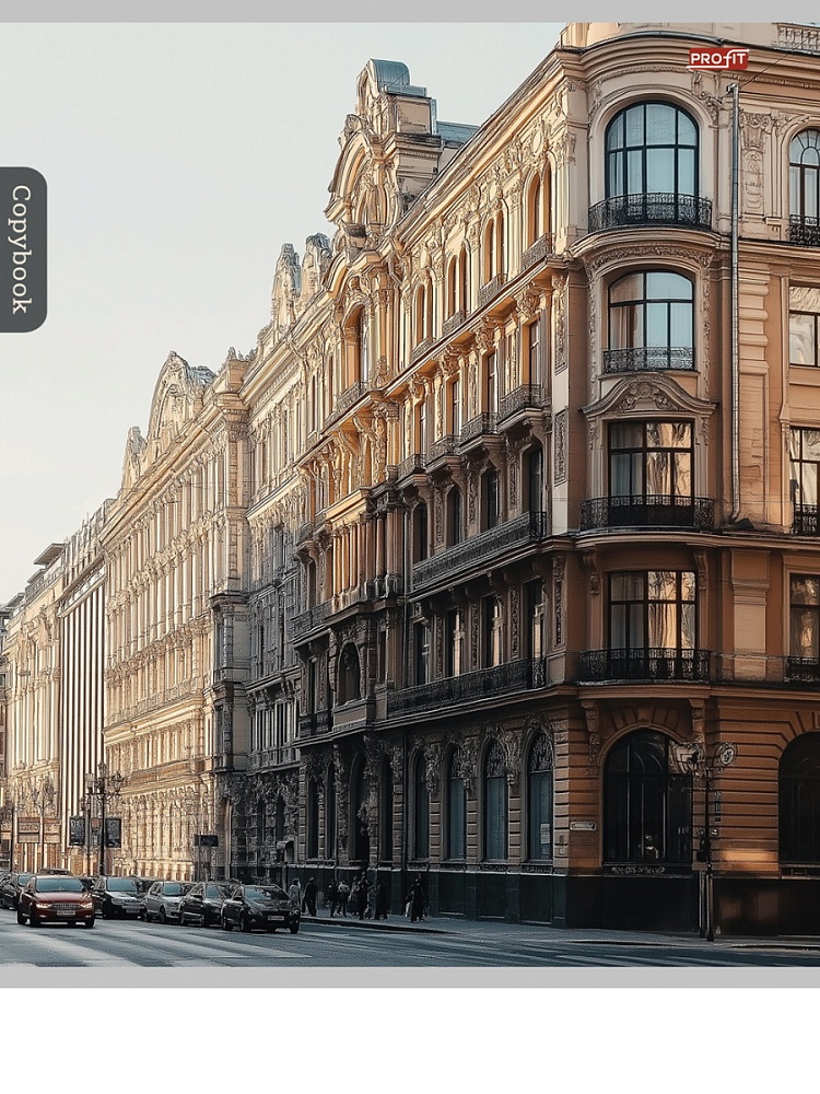 Тетрадь 96л. кл. "городская архитектура-2" (проф-пресс) б/б,асс-т