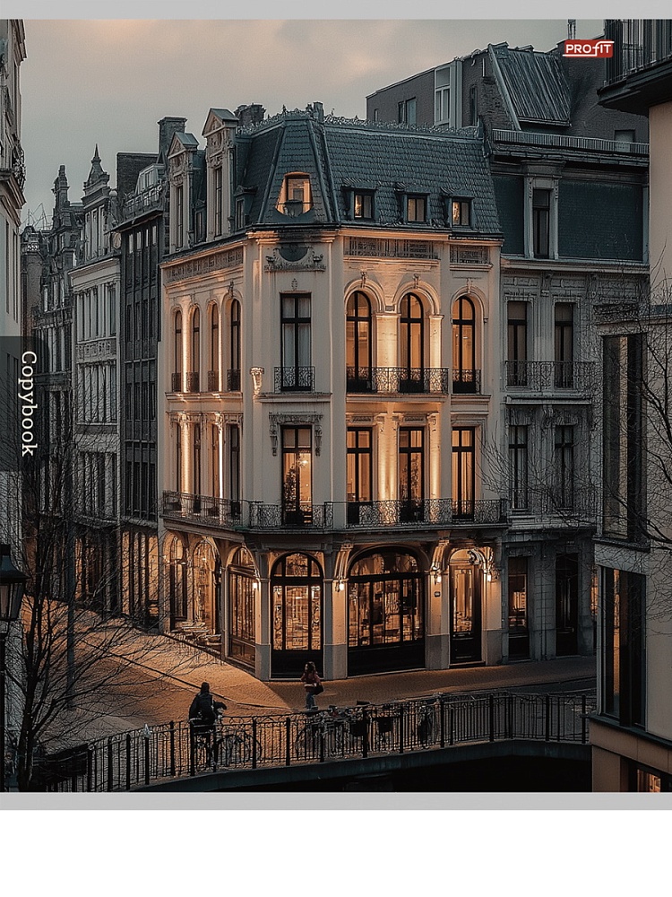 Тетрадь 96л. кл. "городская архитектура-2" (проф-пресс) б/б,асс-т