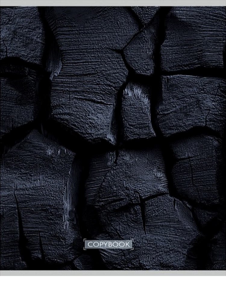 Тетрадь 96л. кл. "чёрные текстуры-1" (проф-пресс) б/б,асс-т