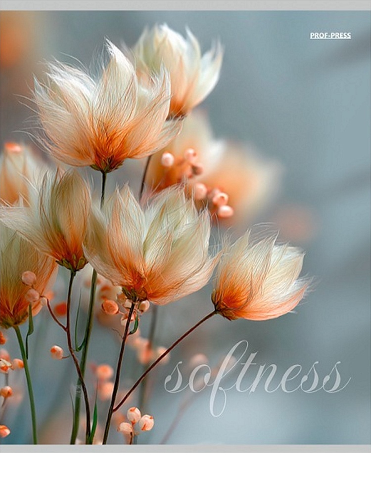 Тетрадь 96л. кл. "нежная природа-1" (проф-пресс) б/б,асс-т