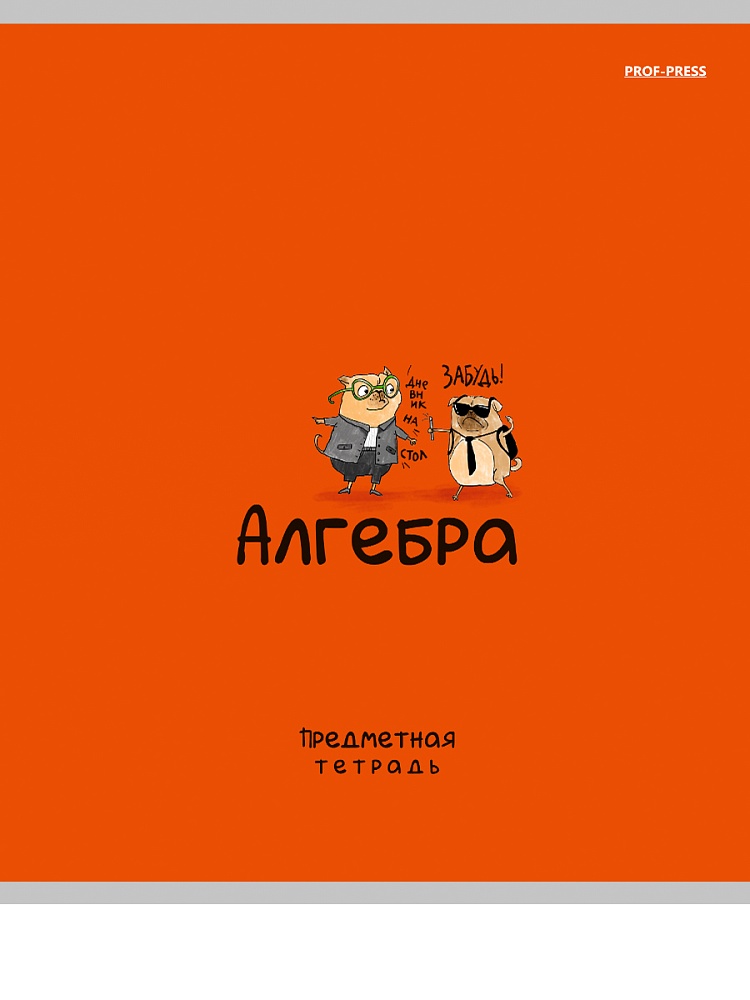 Тетрадь 48л. "mini friends" алгебра (проф-пресс) лён
