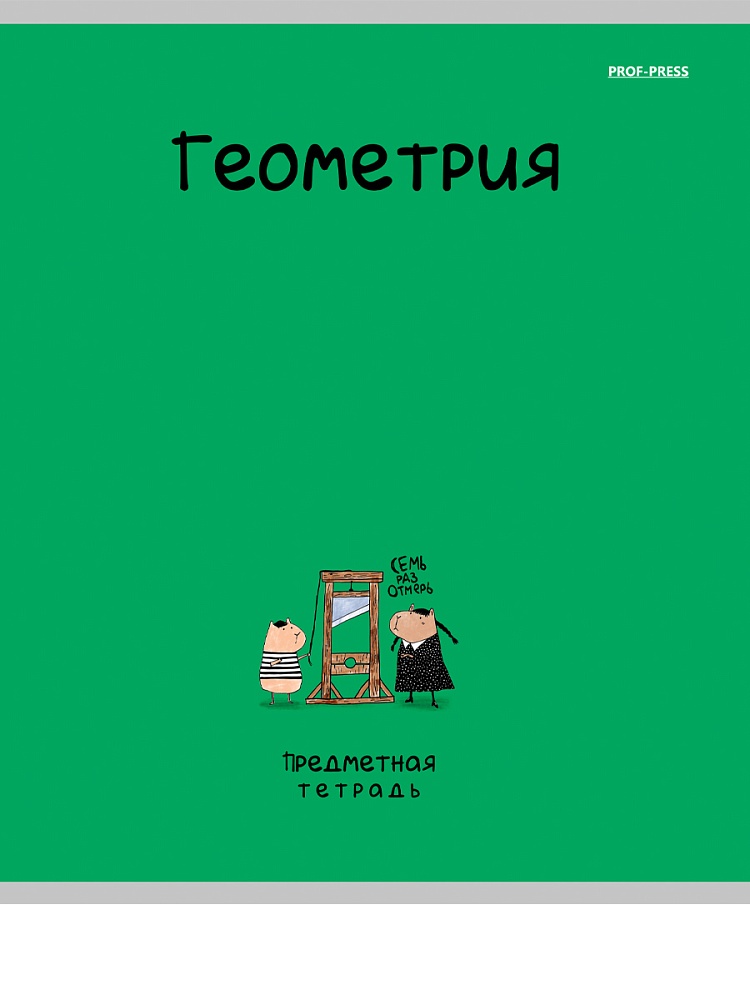 Тетрадь 48л. "mini friends" геометрия (проф-пресс) лён