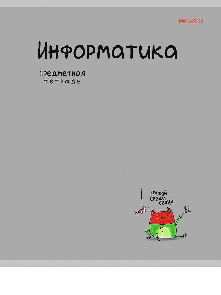 Тетрадь 48л. "mini friends" информатика (проф-пресс) лён