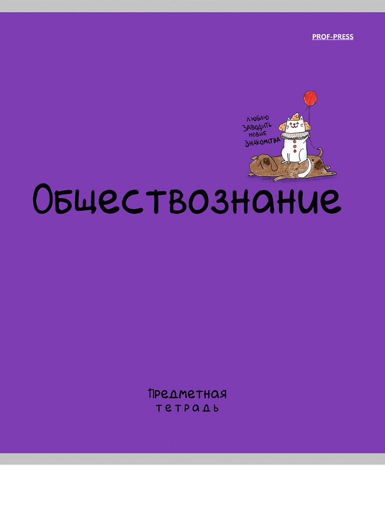 Тетрадь 48л. "mini friends" обществознание (проф-пресс) лён