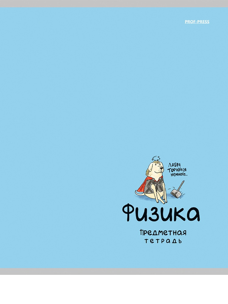 тетрадь 48л. "mini friends" физика (проф-пресс) лён Тетрадь 48л. "mini friends" физика (проф-пресс) лён