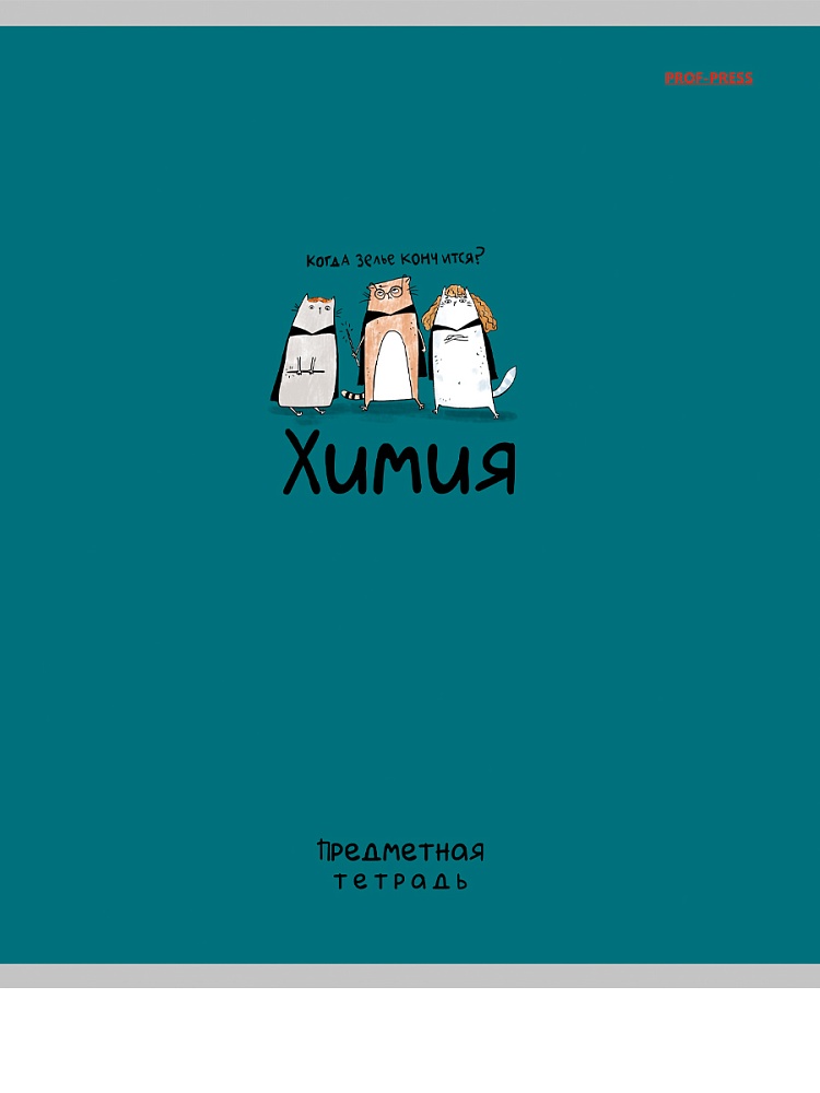 Тетрадь 48л. "mini friends" химия (проф-пресс) лён