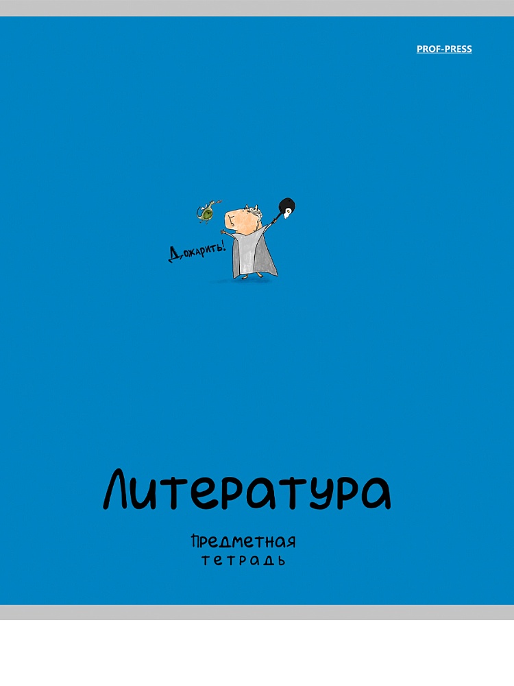 Тетрадь 48л. "mini friends" литература (проф-пресс) лён