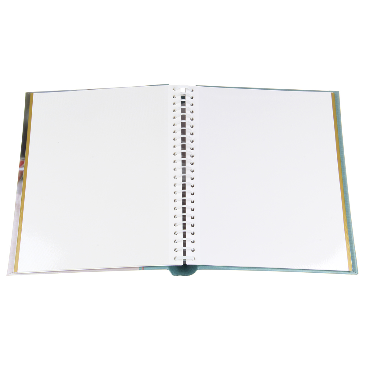 Альбом д/фото 20л. с магн.плёнкой 23х28см "розы"