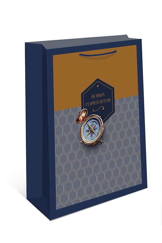 Пакет подарочный "новых горизонтов" (18х22х10см)