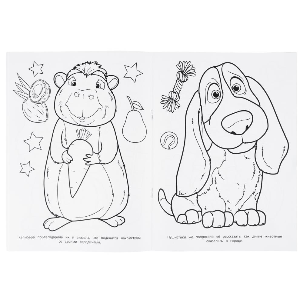 Раскраска "чудесные гости" а4 (умка)