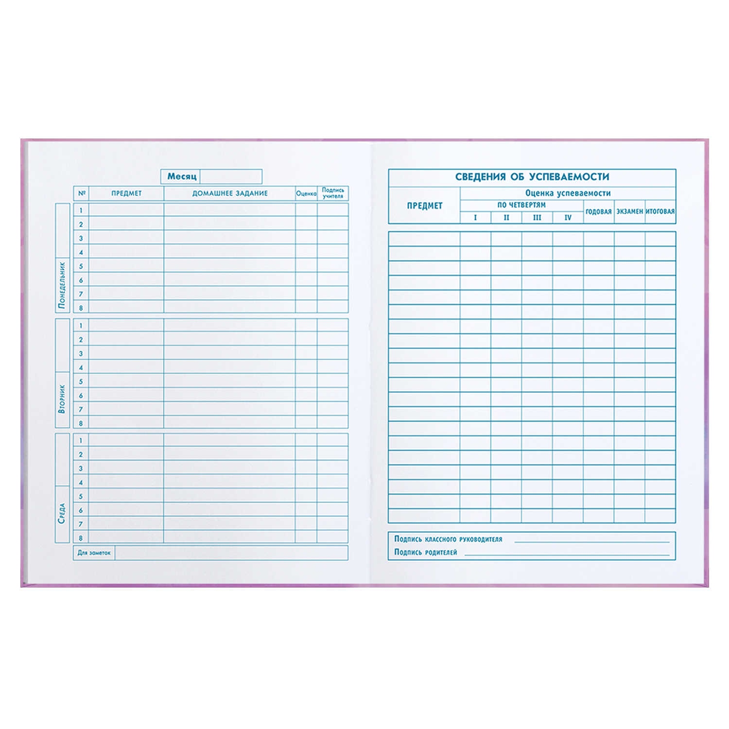 Дневник мл.кл. тв.обл. "балерина с бантом" (феникс+) глянц.лам.