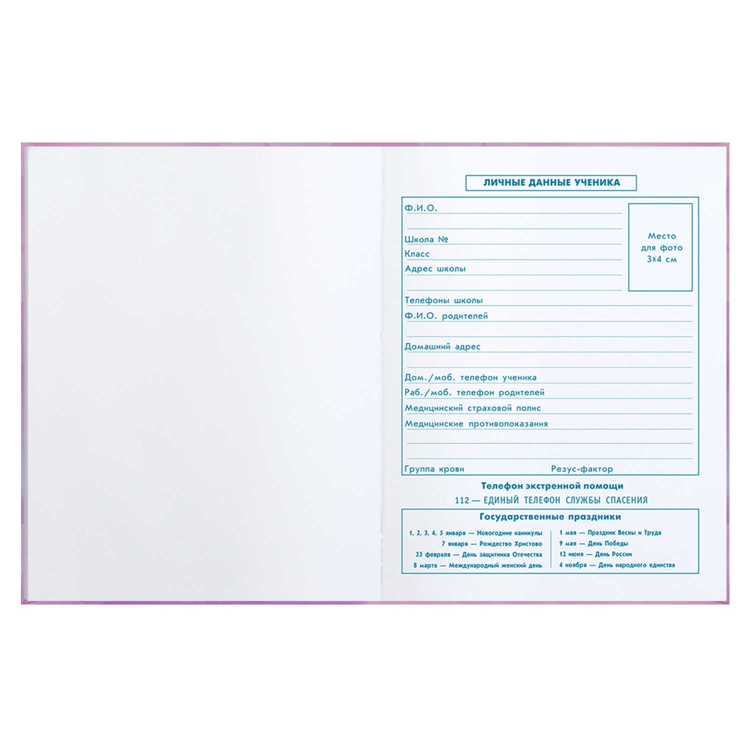 Дневник мл.кл. тв.обл. "балерина с бантом" (феникс+) глянц.лам.