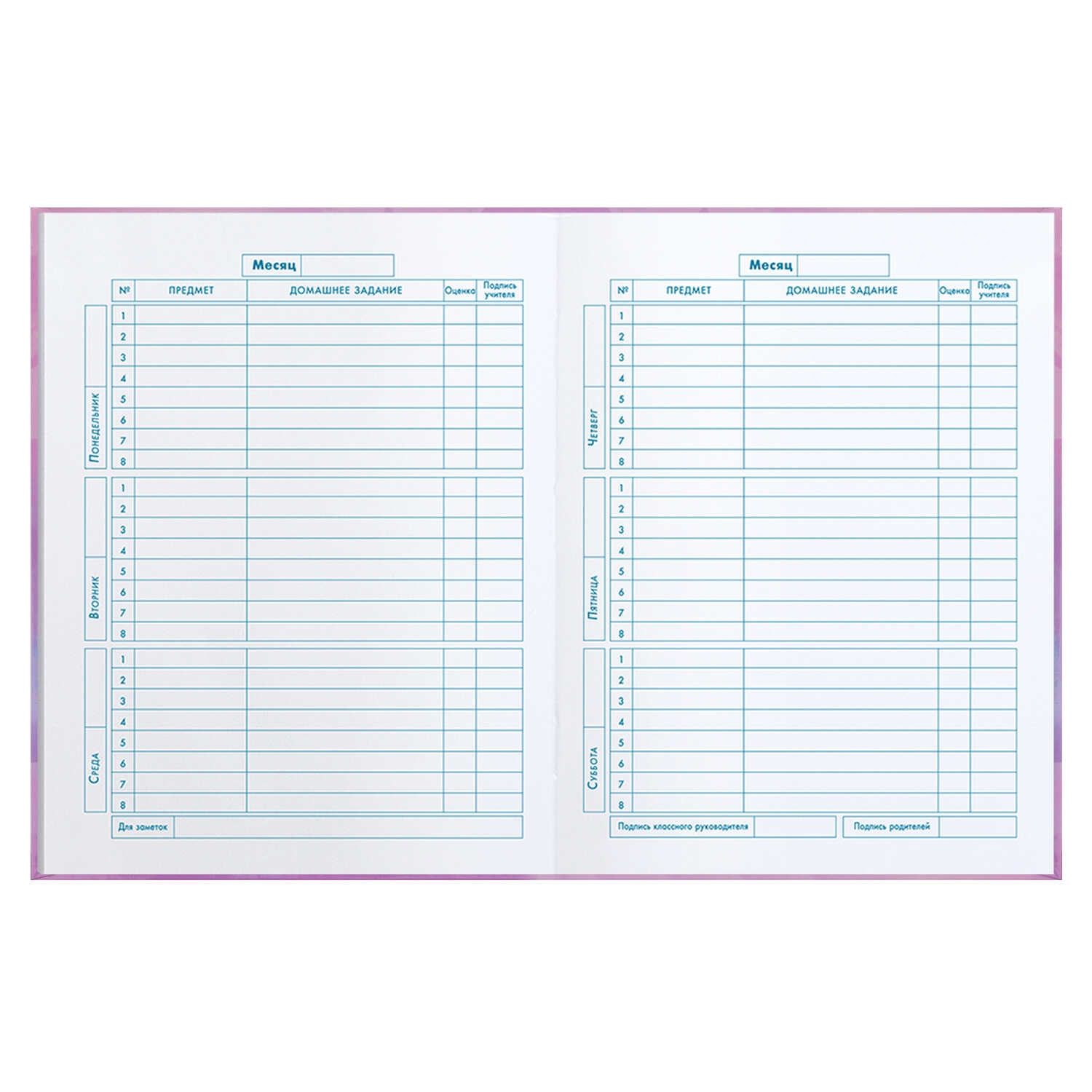 Дневник мл.кл. тв.обл. "балерина с бантом" (феникс+) глянц.лам.