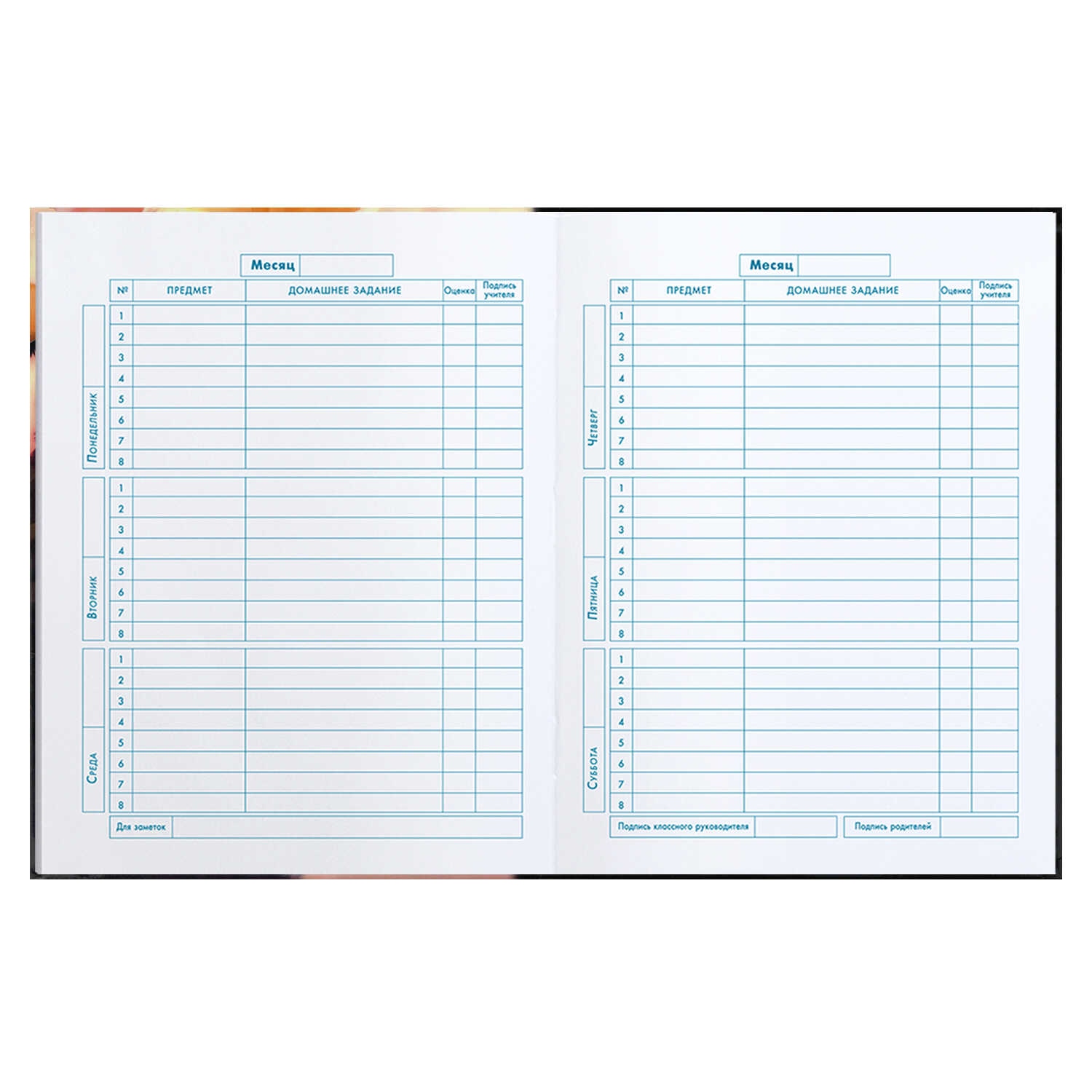 Дневник мл.кл. тв.обл. "три кота" (феникс+) глянц.лам.