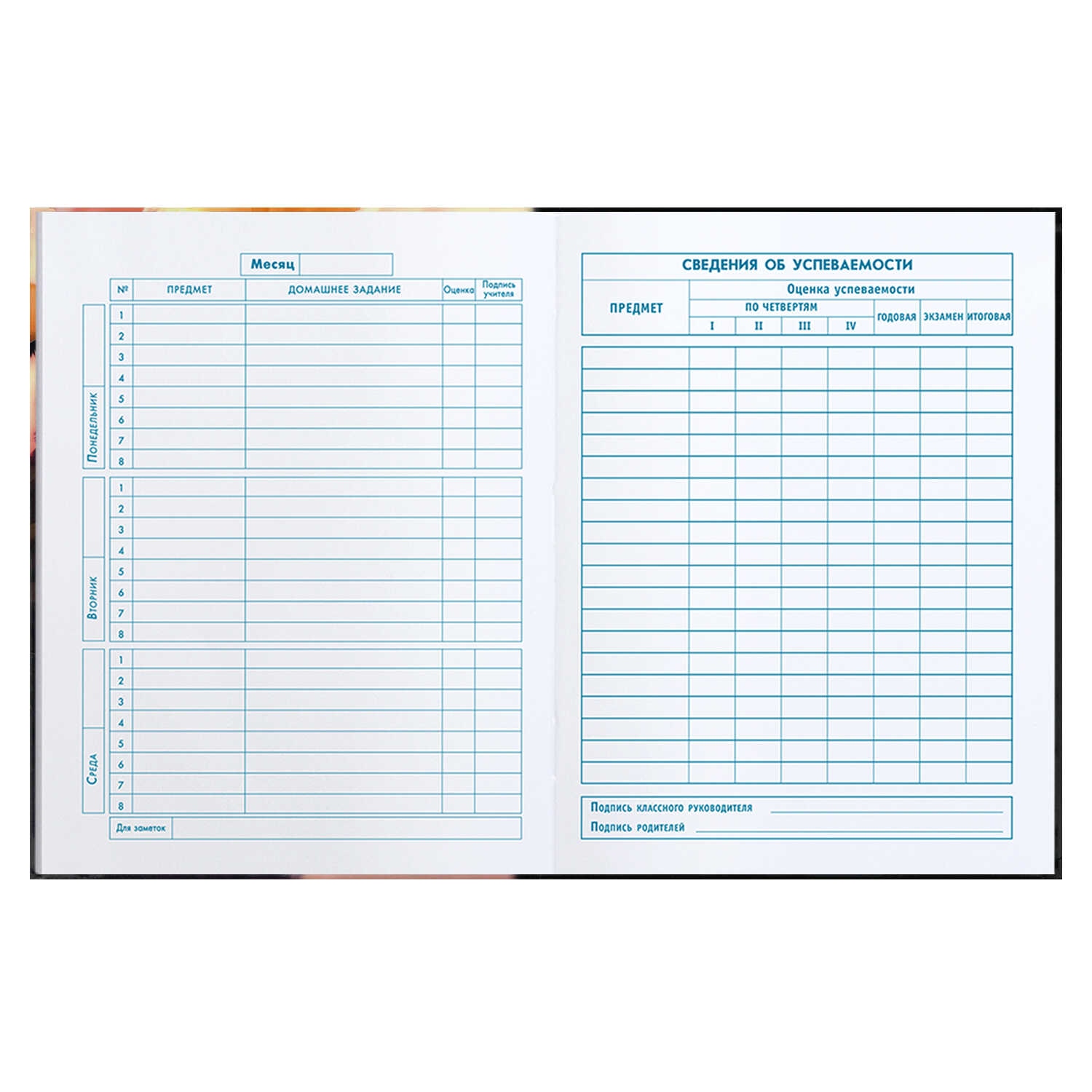 Дневник мл.кл. тв.обл. "три кота" (феникс+) глянц.лам.