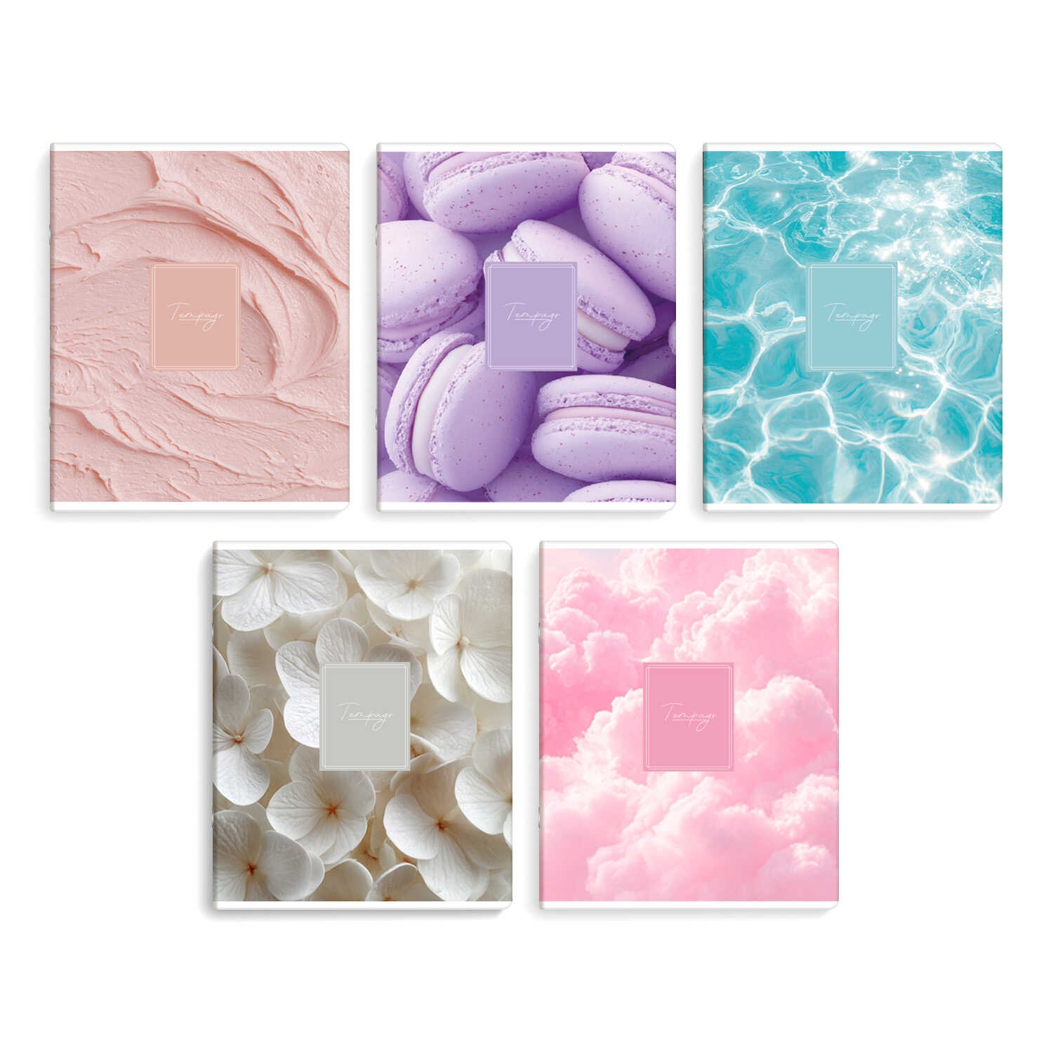 Тетрадь 48л. кл. "эстетика" (феникс+) б/б,выб.лак,асс-т