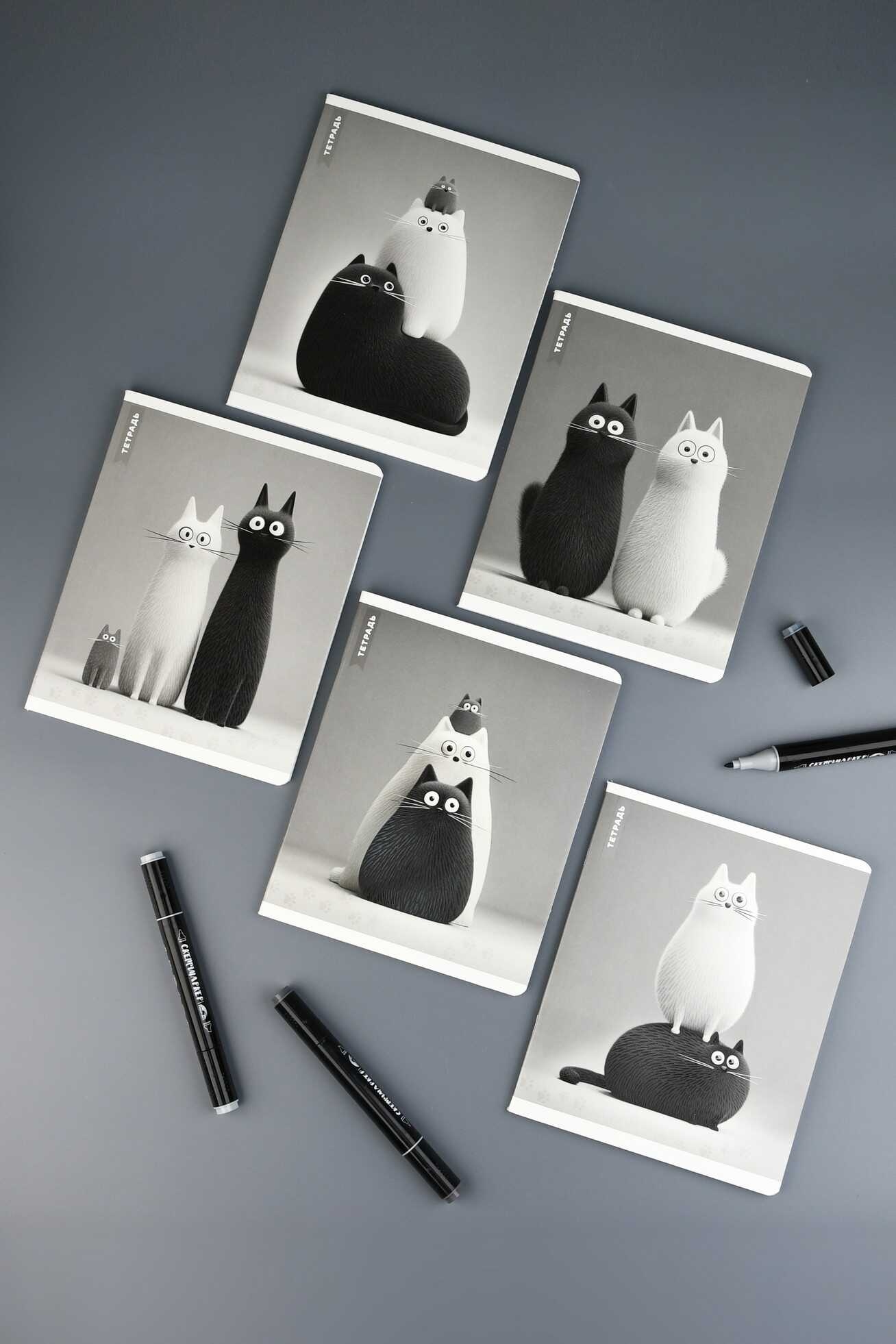 Тетрадь 48л. кл. "чёрно-белые коты" (феникс+) б/б,выб.лак,асс-т