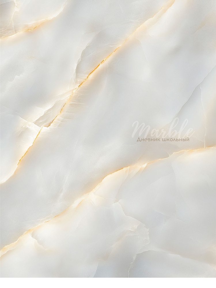 Дневник универс. тв.обл. "белый мрамор" (проф-пресс) глянц.лам.
