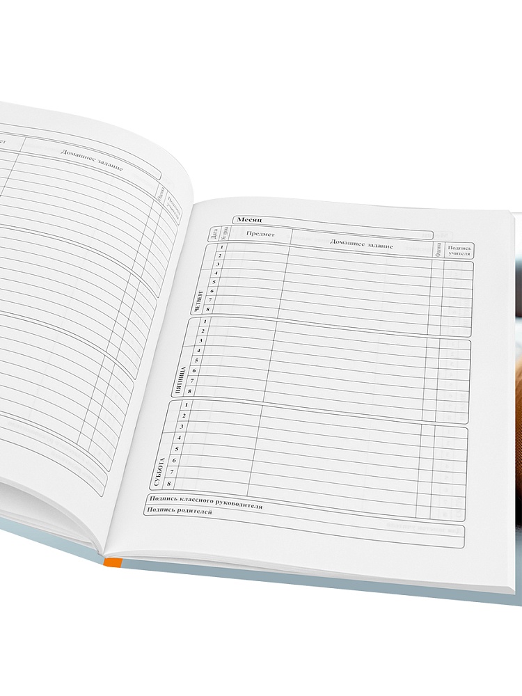 Дневник универс. тв.обл. "серый кот-1" (проф-пресс) глянц.лам.