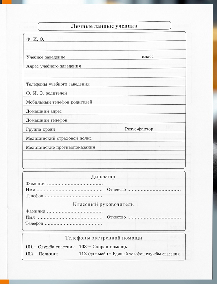 Дневник универс. тв.обл. "серый кот-1" (проф-пресс) глянц.лам.