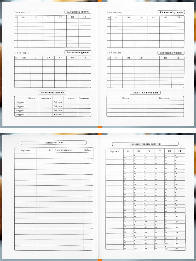Дневник универс. тв.обл. "серый кот-1" (проф-пресс) глянц.лам.