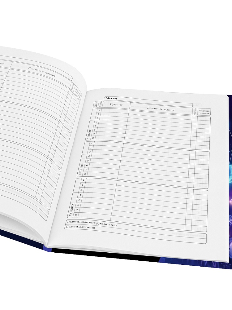 Дневник универс. тв.обл. "футбольный мяч-23" (проф-пресс) глянц.лам.