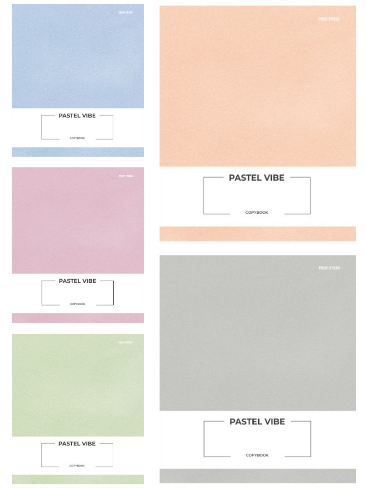 Тетрадь 48л. кл. "pastel vibe" (проф-пресс) б/б,асс-т