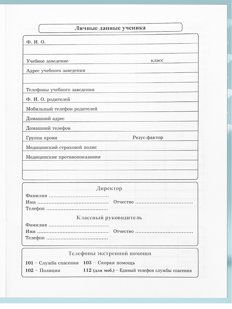 Дневник мл.кл. тв.обл. "милый котик-8" (проф-пресс) глянц.лам.