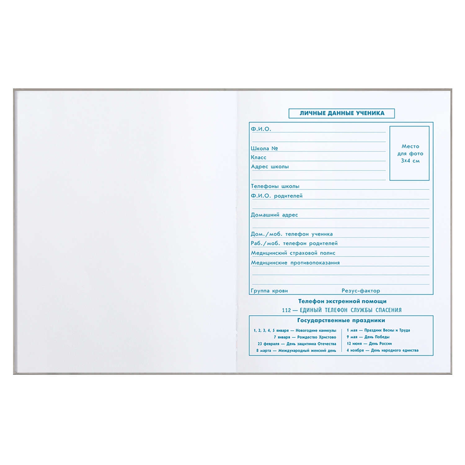 Дневник мл.кл. тв.обл. "девочка с косой" (феникс+) глянц.лам.,тиснен.фольгой