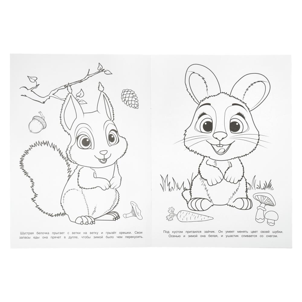 Раскраска чудо "прогулка в лесу" а4 (умка)