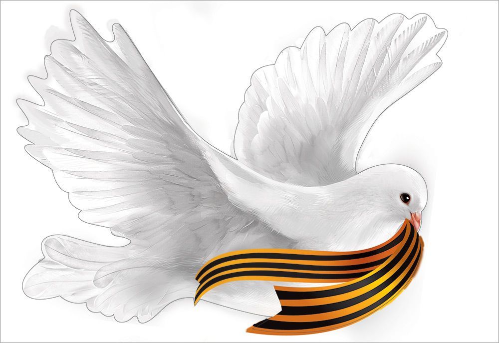 Наклейка "голубь с георгиевской ленточкой" а4