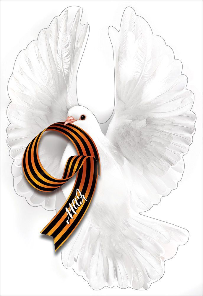 Наклейка "9 мая" голубь а4