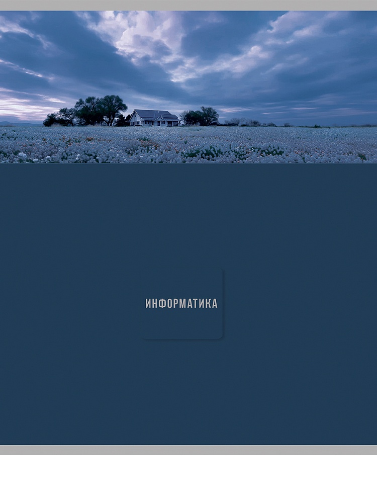 Тетрадь 48л. "nature" информатика (проф-пресс)