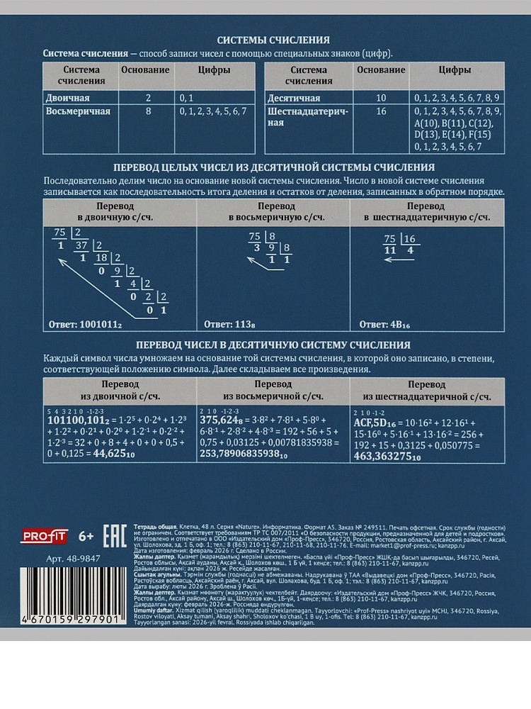 Тетрадь 48л. "nature" информатика (проф-пресс)