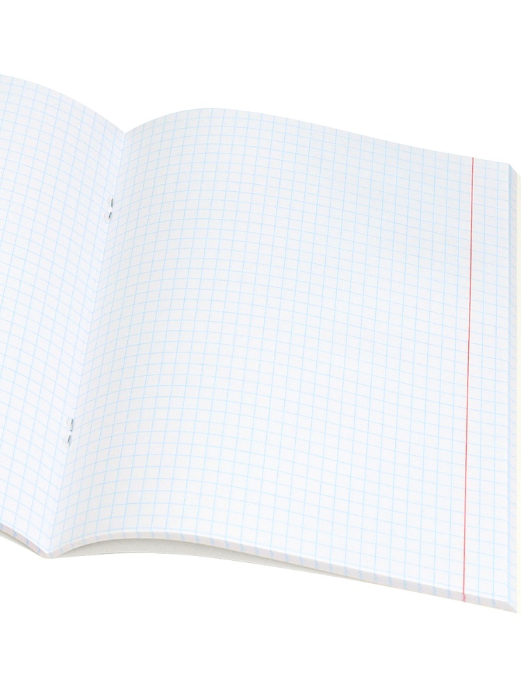 Тетрадь 48л. "nature" математика (проф-пресс)