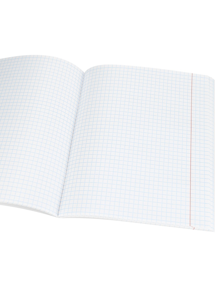 Тетрадь 48л. "nature" обществознание (проф-пресс)