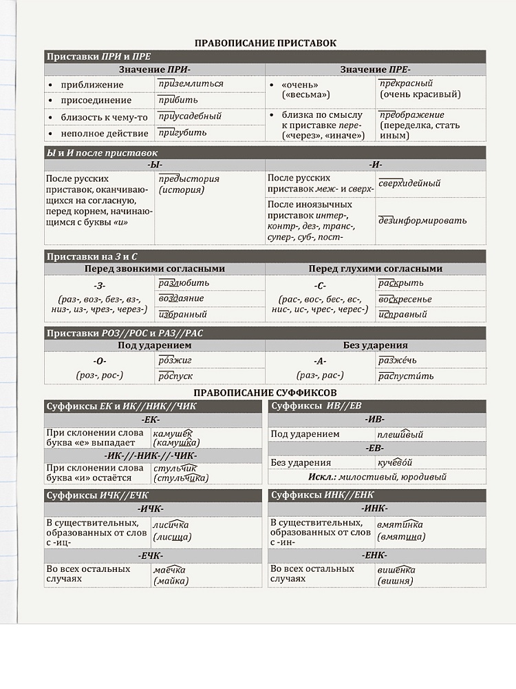 Тетрадь 48л. "nature" русский язык (проф-пресс)