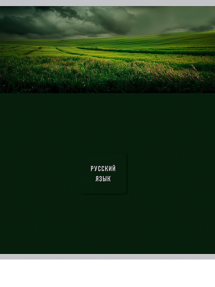 Тетрадь 48л. "nature" русский язык (проф-пресс)