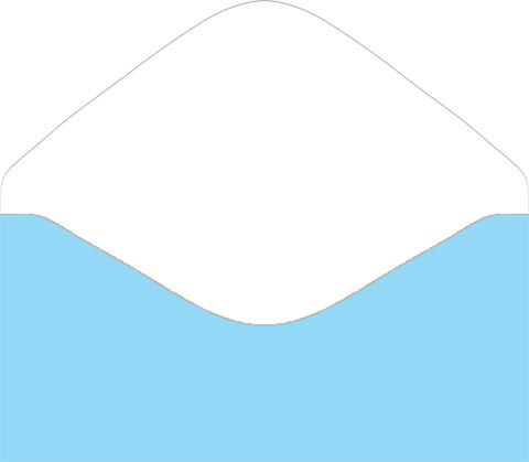 Конверт для денег "в день рождения!" цветы