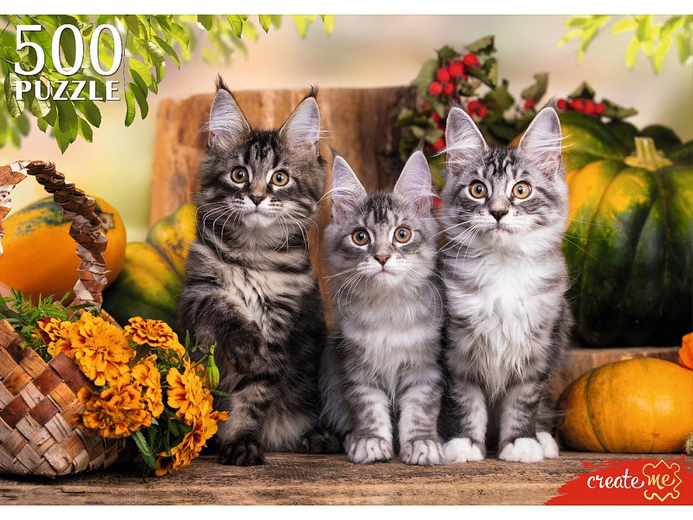 Пазлы 500 дет. "три непоседливых котёнка" (рыжий кот)
