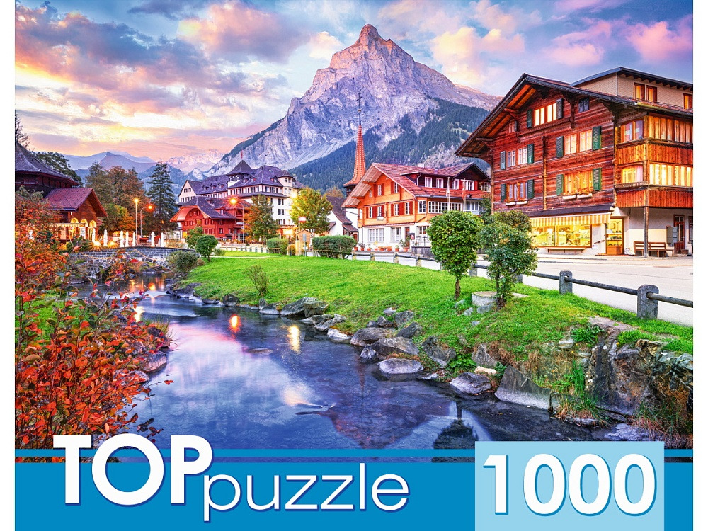 Пазлы 1000 дет. "город в швейцарии"