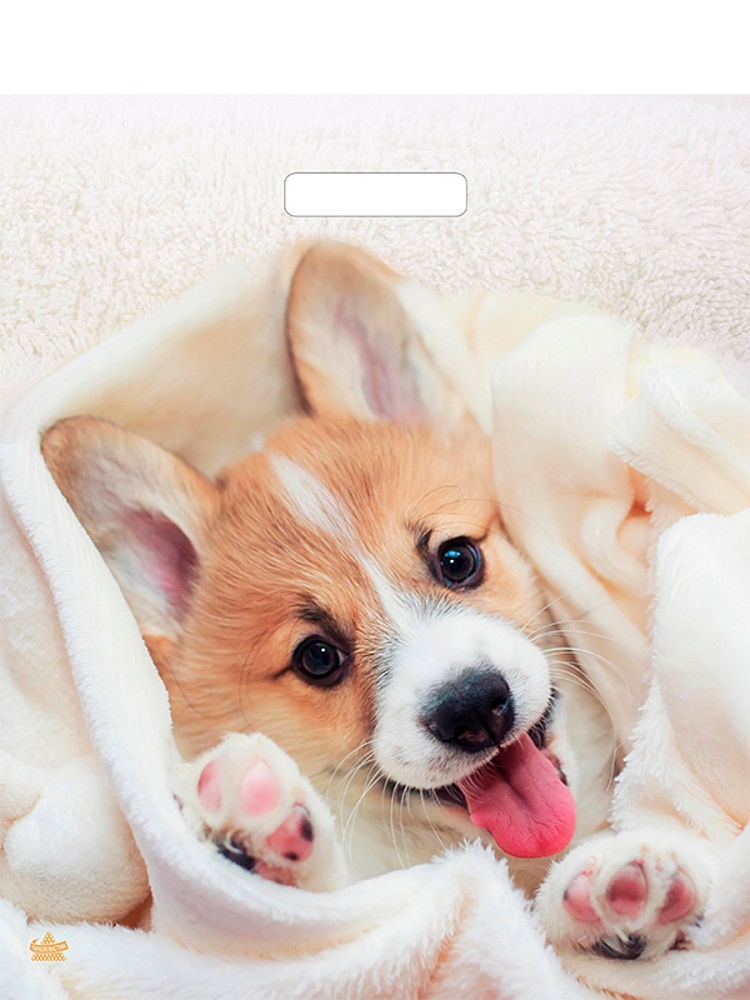 Пакет универсальный 38х45см "малыш веня" проруб.ручка