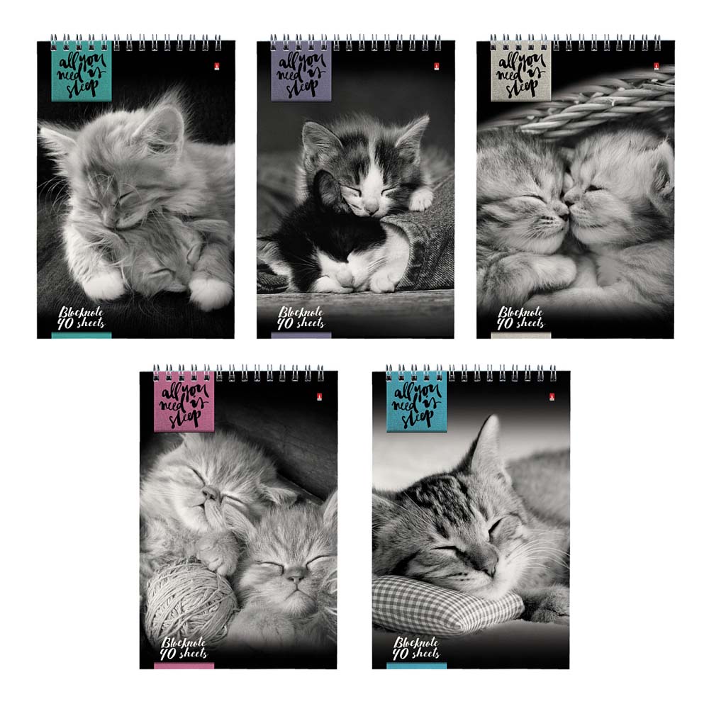 блокнот а5 гребень 40л. кл. "кошки" (альт) асс-т Блокнот а5 гребень 40л. кл. "кошки" (альт) асс-т