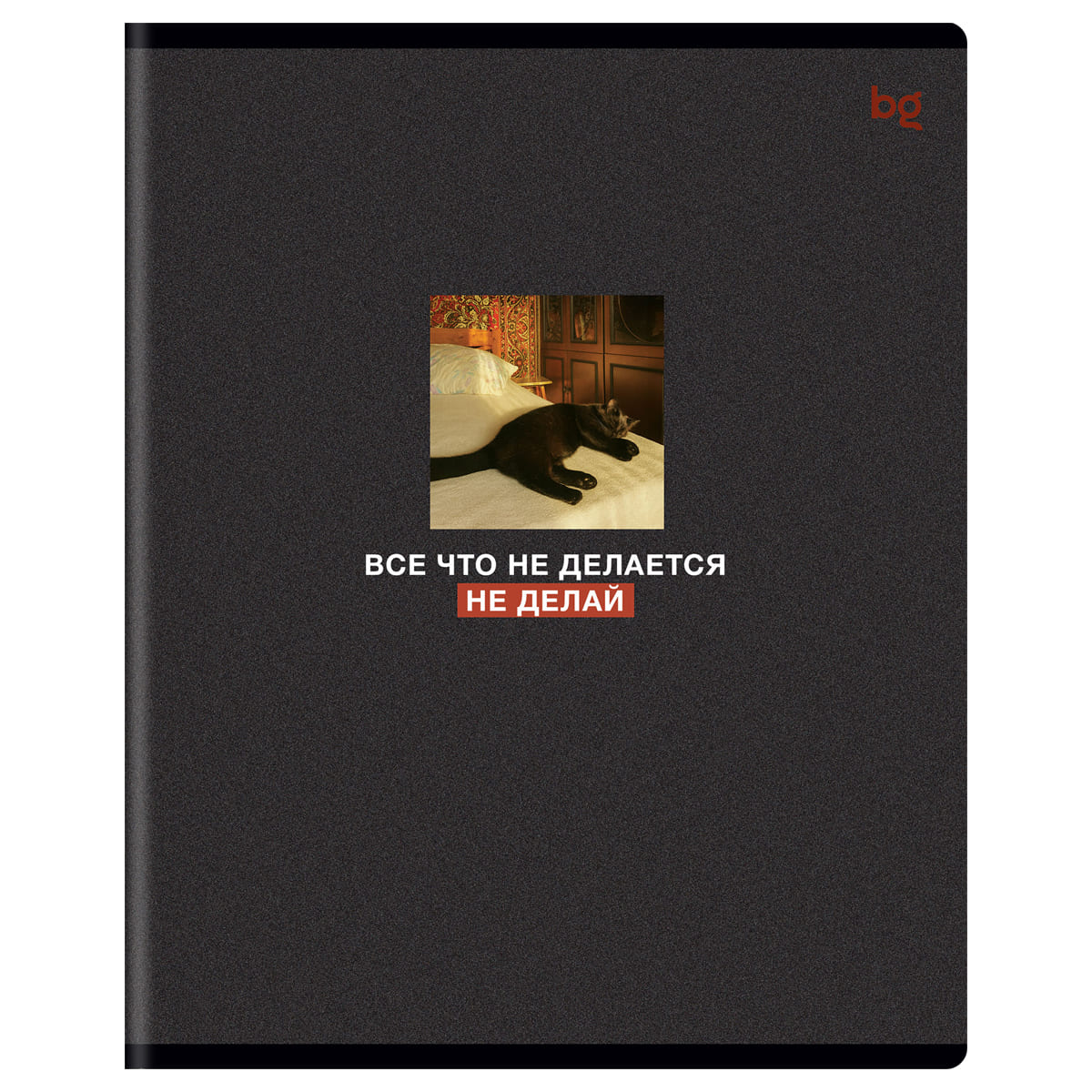 Тетрадь 48л. кл. "раньше было лучше" (bg) б/б,мат.лам.,выб.лак,асс-т