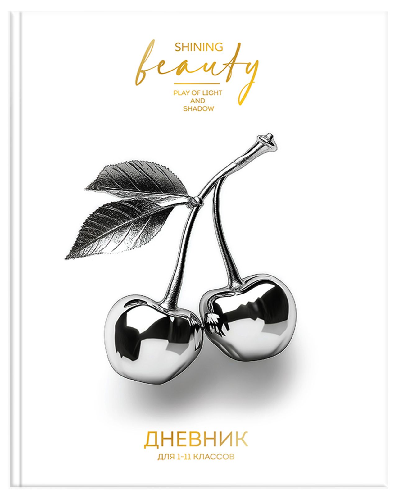 Дневник универс. тв.обл. "хром вещи" (schoolformat) глянц.лам.