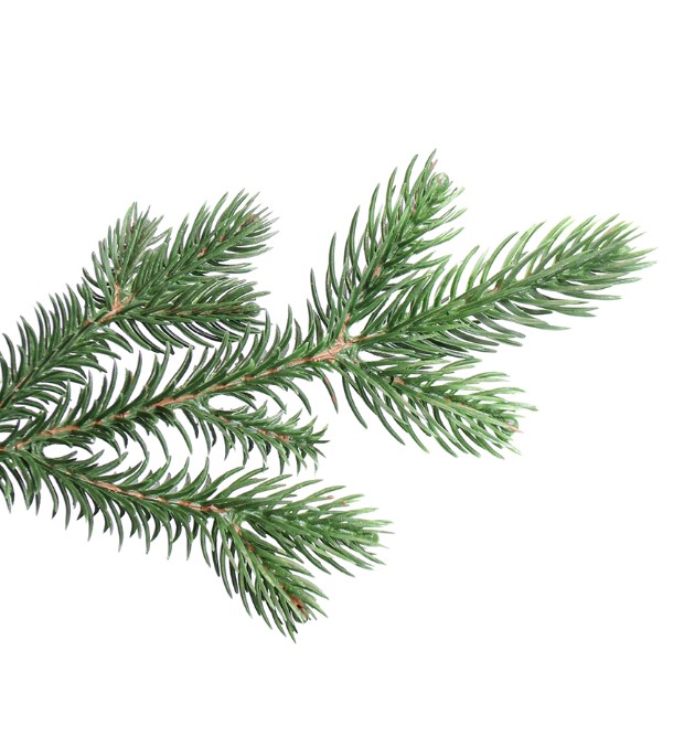 Ёлка 2,1 м "амалия" зелёная