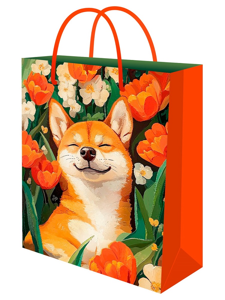 пакет подарочный "безмятежность" (18х23х8см) Пакет подарочный "безмятежность" (18х23х8см)