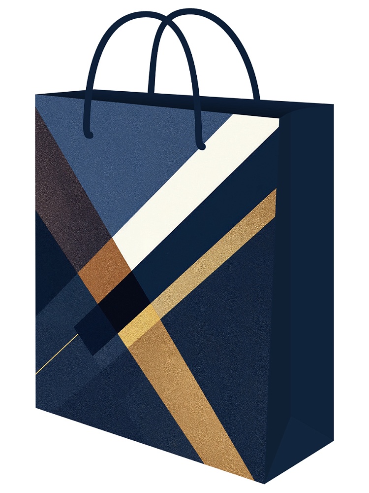пакет подарочный "стильная геометрия" (18х23х8см) Пакет подарочный "стильная геометрия" (18х23х8см)