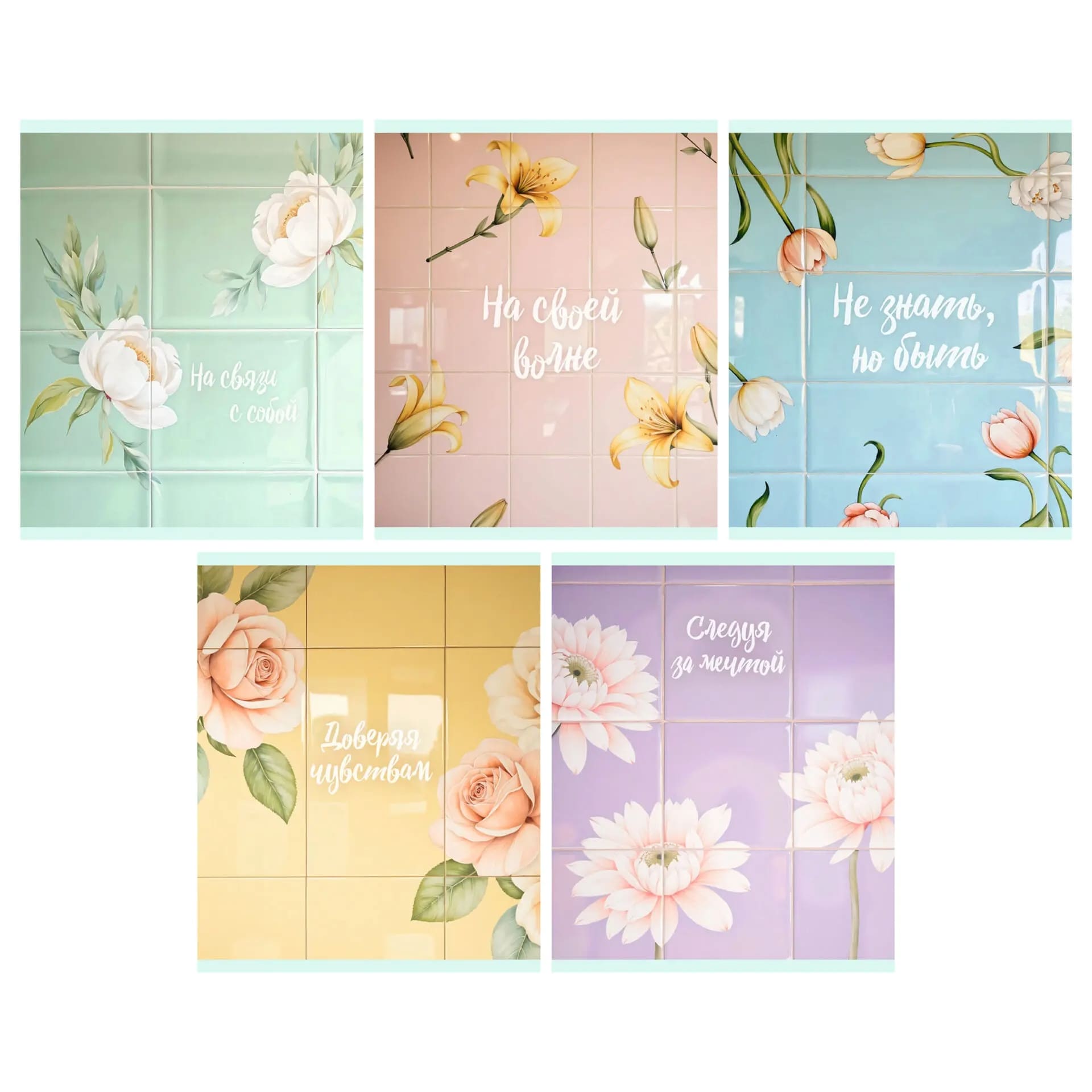 Тетрадь 48л. кл. "в душе" (listoff) б/б,глянц.лам.,асс-т